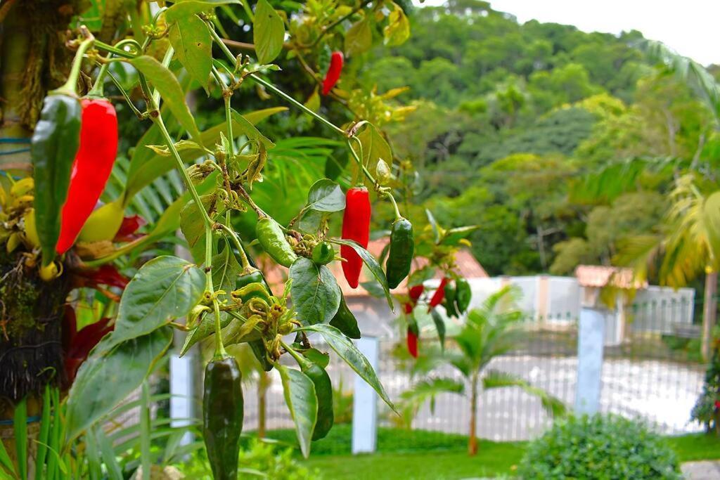 Casa Espetacular No Centro Da Serra Nova Friburgo Exteriér fotografie